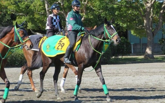 【中山牝馬S】ウラヌスチャーム 齋藤誠師「状態は数段良い」
