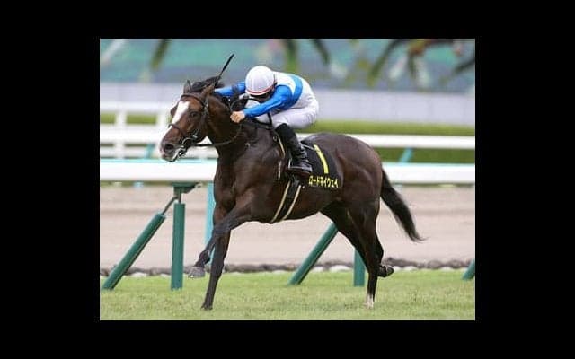 金鯱賞でサートゥルナーリアは絶対か。過去データが導く３頭がヤバい