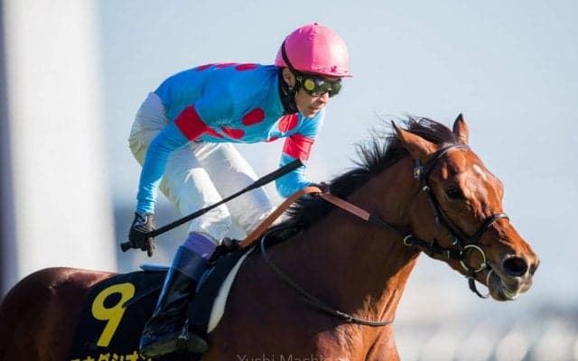 武豊騎手 今週の騎乗馬