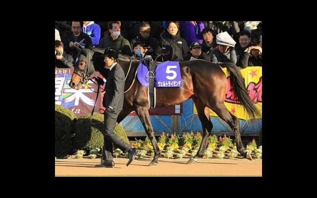 成長遂げるヴェルトライゼンデ。皐月賞で「コントレイルを逆転可能」