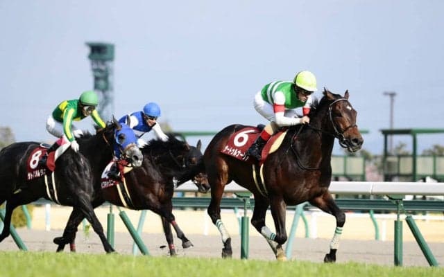 【金鯱賞】サートゥルナーリアが圧勝！断然の人気に応える