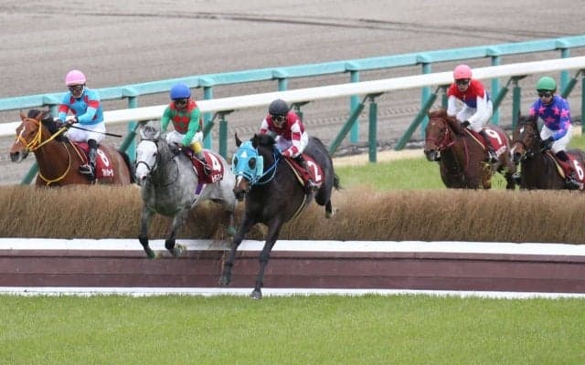 【阪神スプリングJ】オジュウチョウサンが圧勝！力の違いを見せる