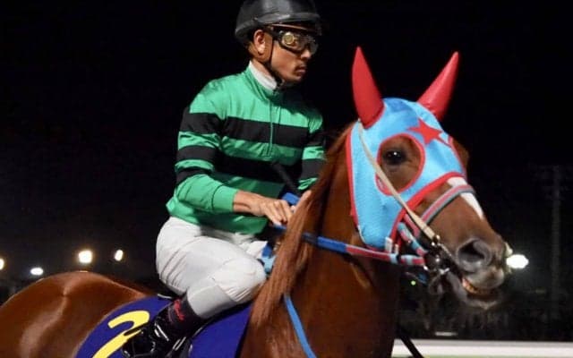 アンデスクイーン号が競走馬登録抹消