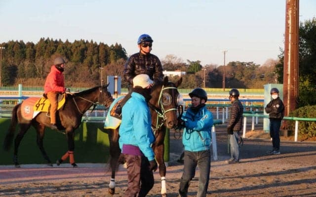 【フラワーC】シーズンズギフト 黒岩師「今回も楽しみ」