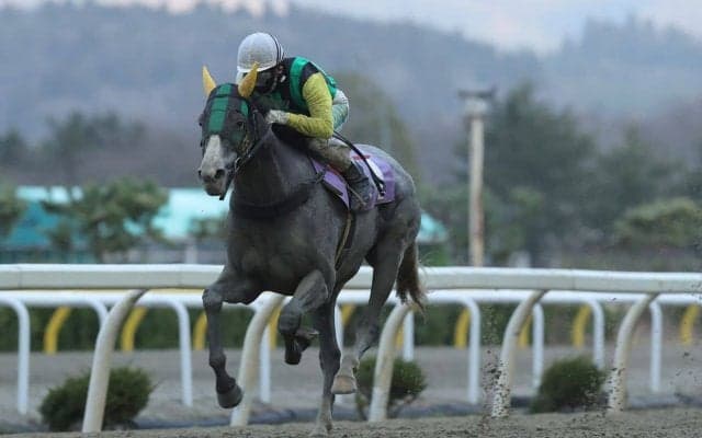 【奥州弥生賞】3歳戦線を占う奥州弥生賞はフレッチャビアンカが圧勝！
