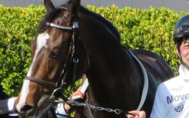 【黄梅賞】クロノメーターが断然の支持に応える