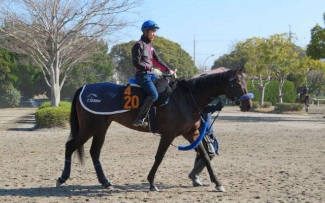 【スプリングS】ココロノトウダイ コース替わりで反撃