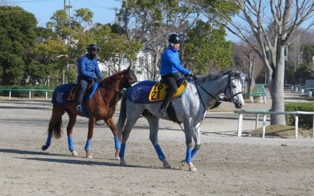 【阪神大賞典】ボスジラ 国枝師「ここでもやれる」