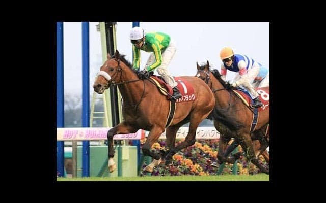 「まだ完成途上」のサトノフラッグ。クラシックへの期待は絶賛拡大中