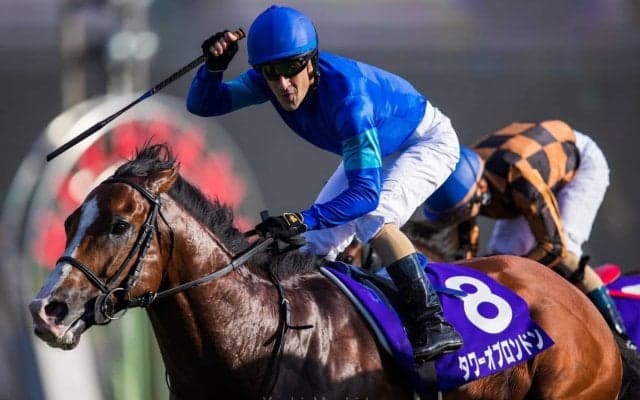 【高松宮記念】登録馬と見どころ タワーオブロンドンなど25頭