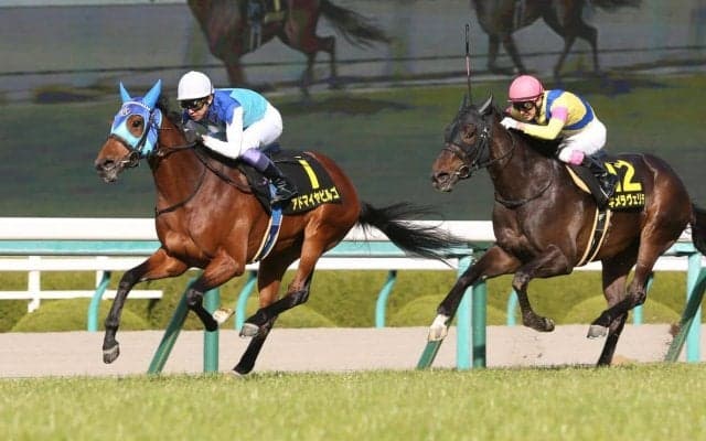 【若葉S】武豊騎乗の6億円ホース アドマイヤビルゴがデビューから2連勝