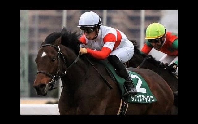 【高松宮記念】出走馬の調教後の馬体重