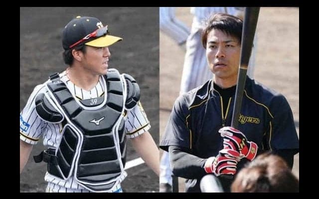 阪神が藤浪、長坂、伊藤隼の新型コロナ陽性を発表　揚塩社長はコメント発表