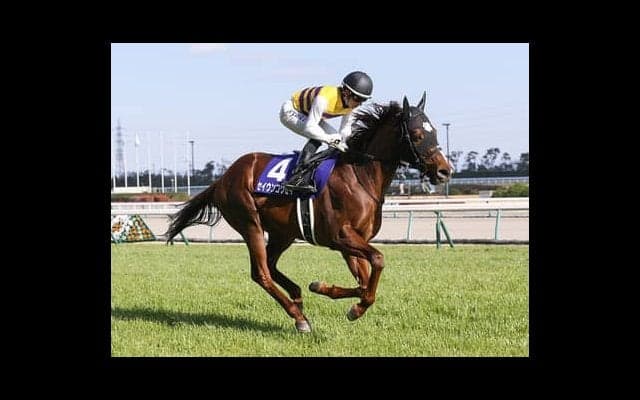 高松宮記念、二度あることは三度ある。高配当へ侮れない穴馬が３頭いる