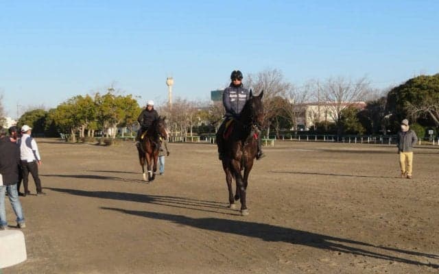 【日経賞】ウインイクシード 鈴木伸師「距離も問題ない」