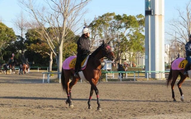 【日経賞】ミッキースワロー 菊沢師「スタートがポイント」