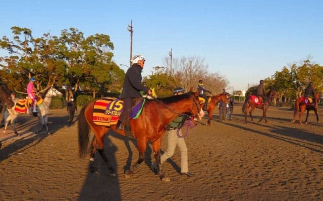 【高松宮記念】タワーオブロンドン  藤沢和師「ヤル気も出てきた」