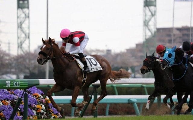 【中山6R】ウインカーネリアンが2勝目