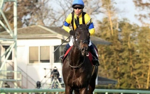 ソウルスターリング号が競走馬登録抹消