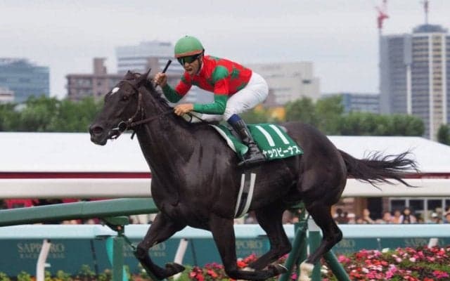 ナックビーナス号が競走馬登録抹消