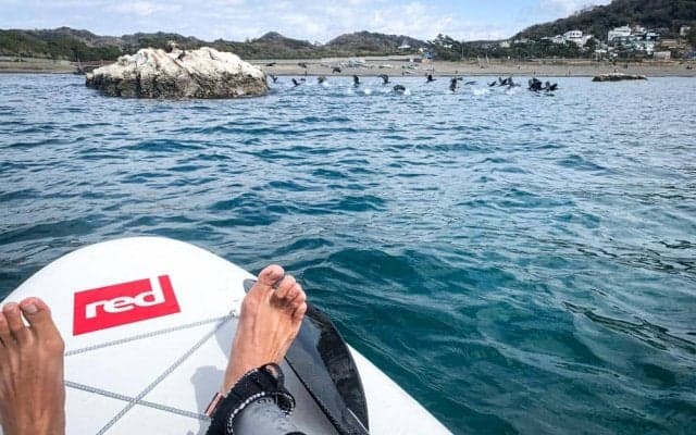 バルクヘッドマガジン編集部からお知らせです