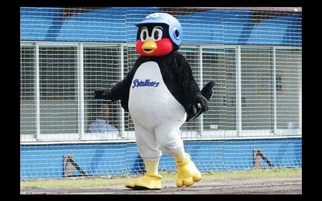 つば九郎が燕シートノックを“激撮”　ファン感謝「こんなに近くで、夢のよう…」