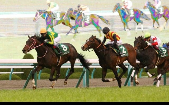 【毎日杯】武豊騎乗 サトノインプレッサが無傷の3連勝！