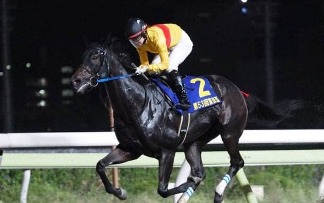 【東京スプリント】JRA出走予定馬