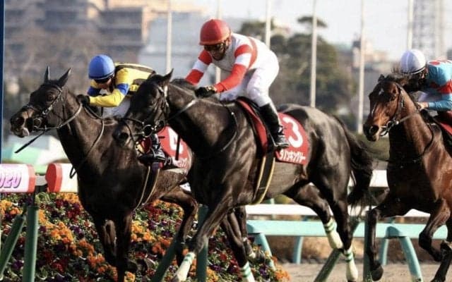 【大阪杯】枠順と見どころ ダノンキングリーは6枠8番