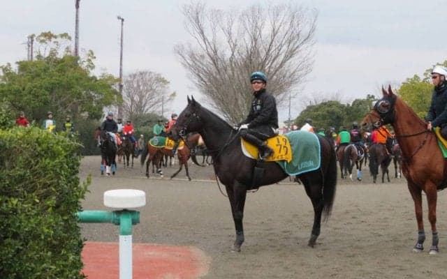【ダービー卿CT】レイエンダ 藤沢和師「中山はいい」