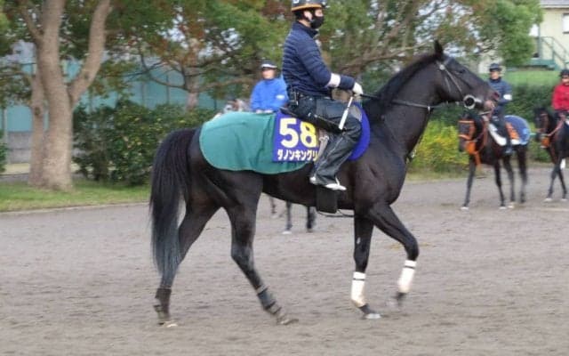 【大阪杯】ダノンキングリー 萩原師「臨戦態勢は十分」