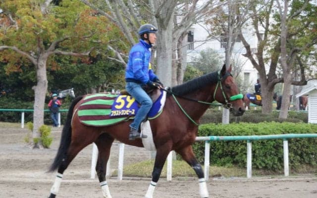 【大阪杯】ブラストワンピース 2度目のG1タイトルへ視界良好