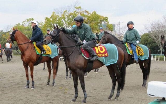 【桜花賞1週前】サンクテュエール 藤沢和師「ここでも見劣らない」