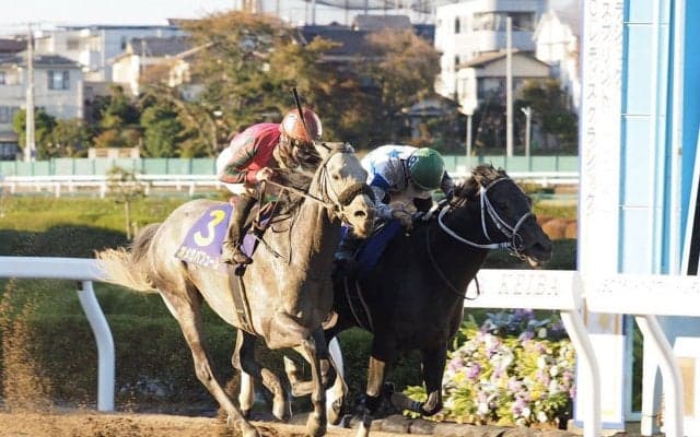 【川崎・川崎記念】枠順と見どころ チュウワウィザードは8枠12番
