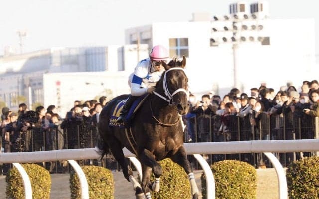 【川崎・川崎記念】チュウワウィザードが圧勝！交流G1 2勝目