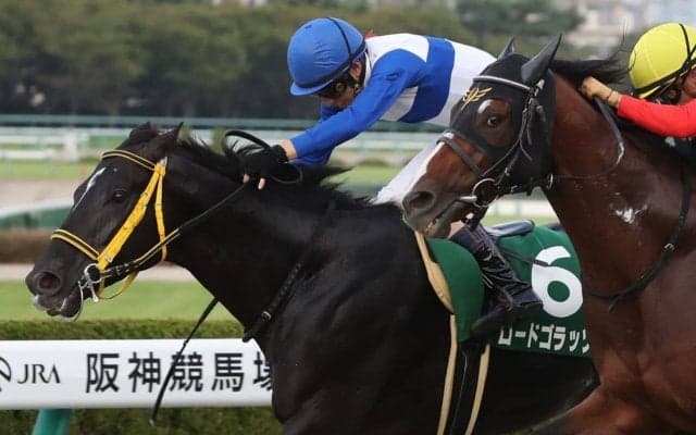 【佐賀・佐賀記念】JRA出走予定馬