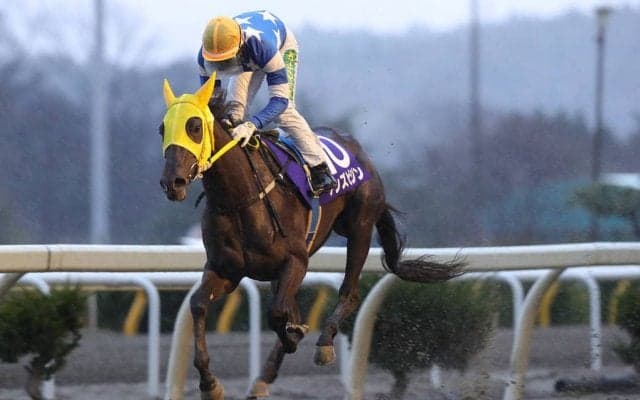 【水沢・あやめ賞】アンズビジンが完勝！