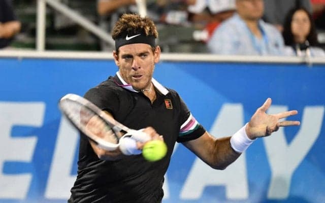 2020年に再起を図る男たち。デル ポトロはトップ100外からの復活を目指す