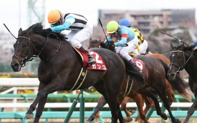 ガンコ号が競走馬登録抹消