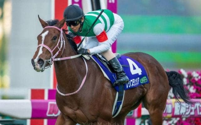 【桜花賞】枠順と見どころ 武豊レシステンシアは8枠17番