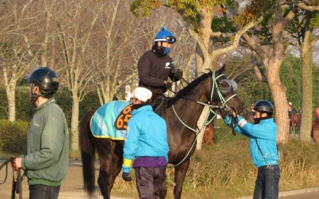 【ニュージーランドT】シーズンズギフト 黒岩師「距離が短くなるのはいい」