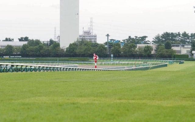 【桜花賞】デアリングタクトが無傷の3連勝で桜の女王！緊急事態宣言後、最初の競馬開催