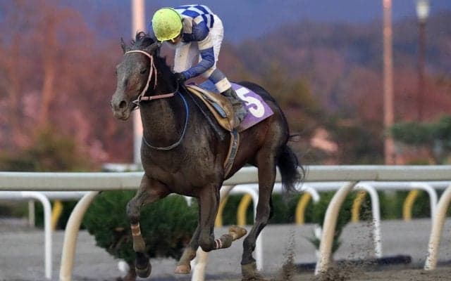 【水沢・赤松杯】転入初戦のランガディアが快勝