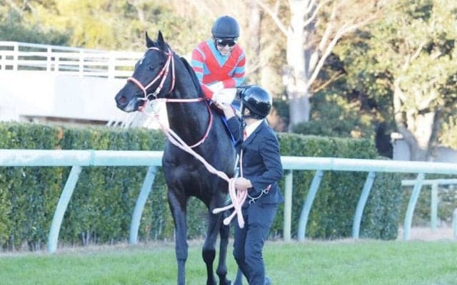 【皐月賞】登録馬と見どころ コントレイルなど19頭