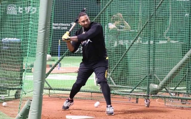 鷹バレンティンがSNSで積極的にファンと交流するワケ「ファンのためにできることを」