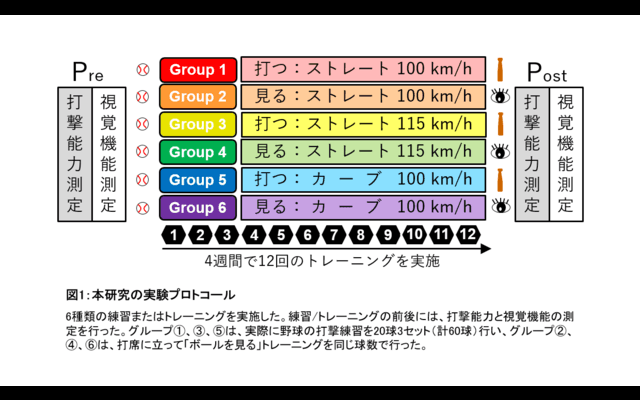 順天堂、野球の打撃能力が実際と同じ球種・球速で練習すると大きく向上することを発見