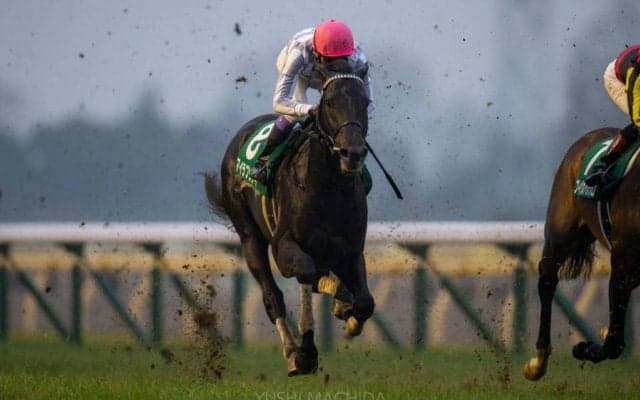 【武豊日記】週末の貴重な娯楽としての競馬に全力を