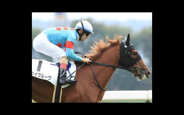 良血スカイグルーヴが「打倒・デアリングタクト」の一番手となるか