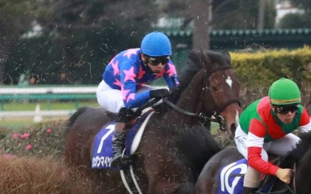 シングンマイケル死す