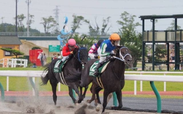 キングズガード号が競走馬登録抹消